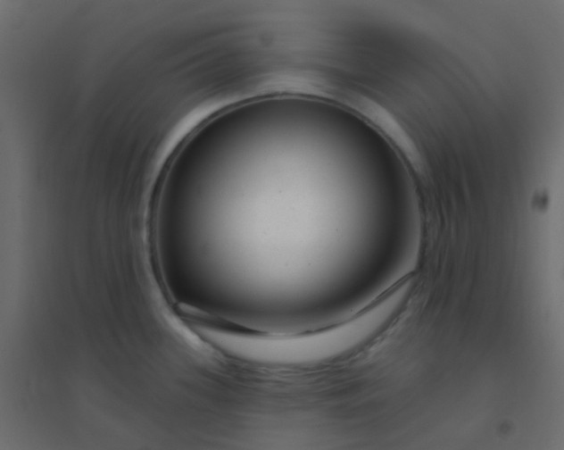 X0000094941339200712131551