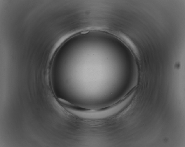 X0000094941340200712131551