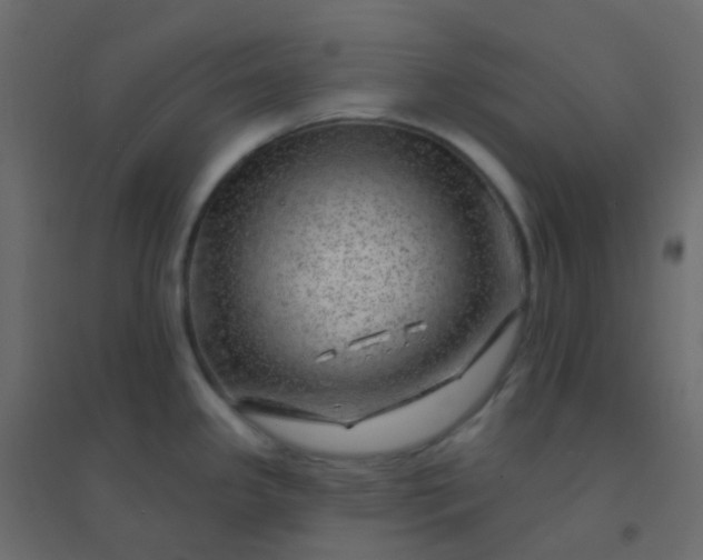 X0000094941341200712131551