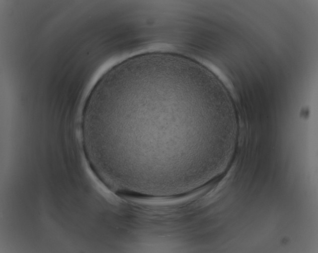 X0000094941342200712131551