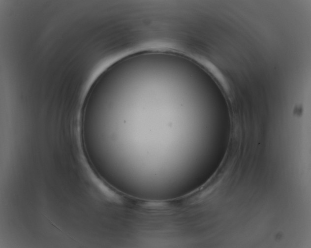 X0000094941343200712131551