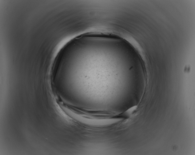 X0000094941344200712131551