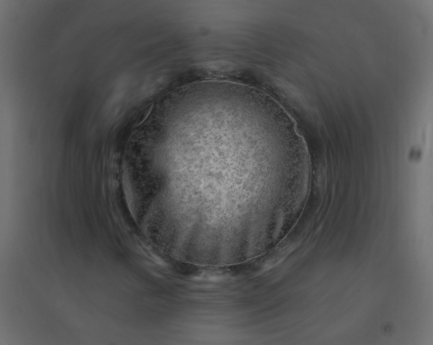 X0000094941346200712131551