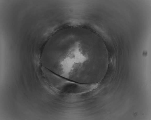 X0000094941348200712131551