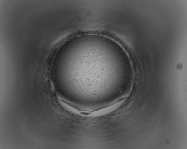 X0000094941350200712131551