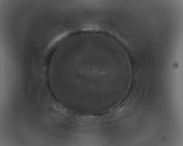 X0000094941351200712131551