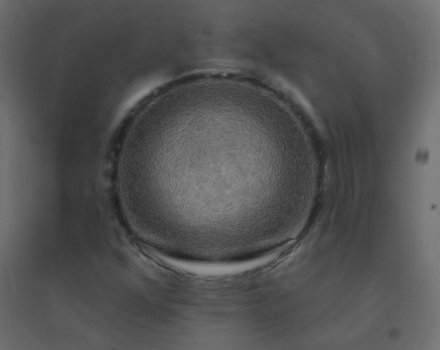 X0000094941352200712131551