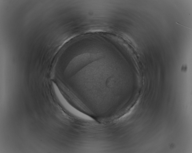 X0000094941353200712131551