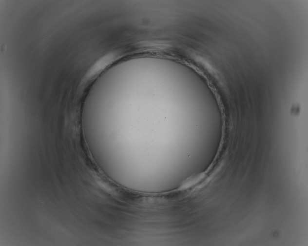 X0000094941354200712131551