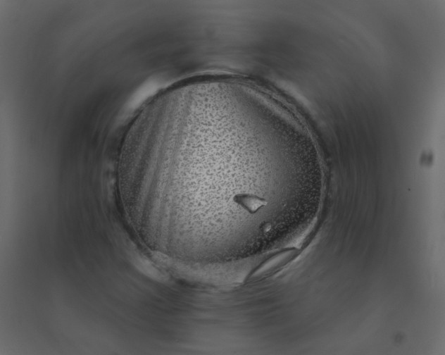 X0000094941355200712131551