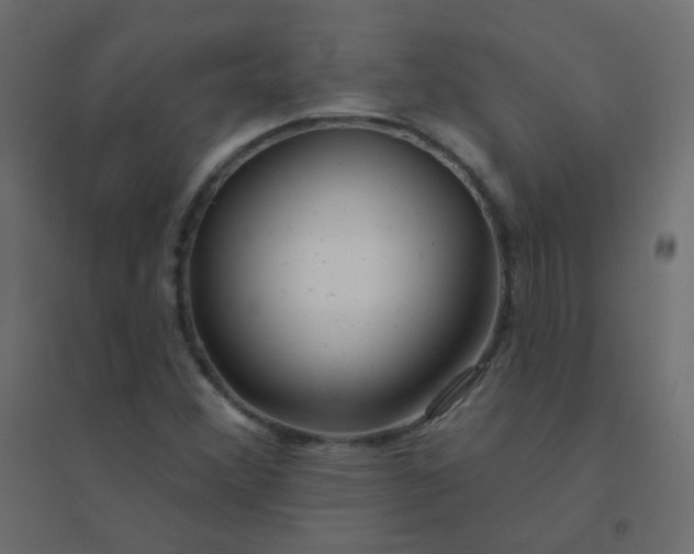 X0000094941356200712131551