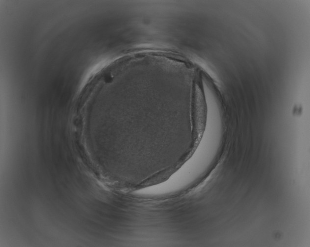 X0000094941357200712131551