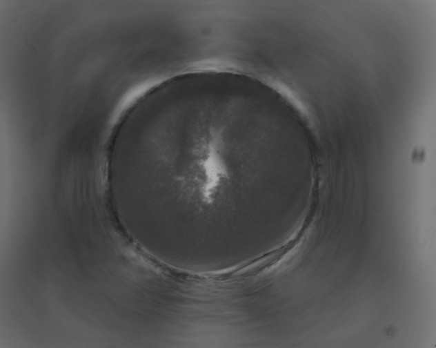 X0000094941358200712131551