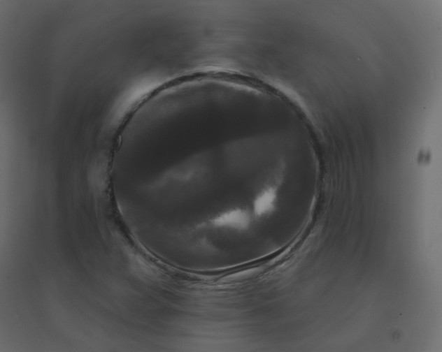 X0000094941359200712131551