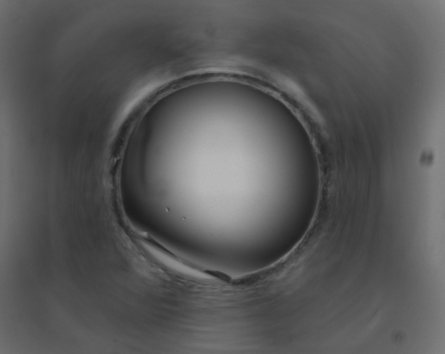 X0000094941360200712131551