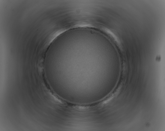 X0000094941361200712131551