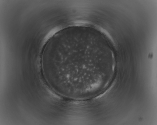 X0000094941362200712131550