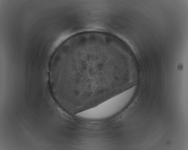 X0000094941363200712131550