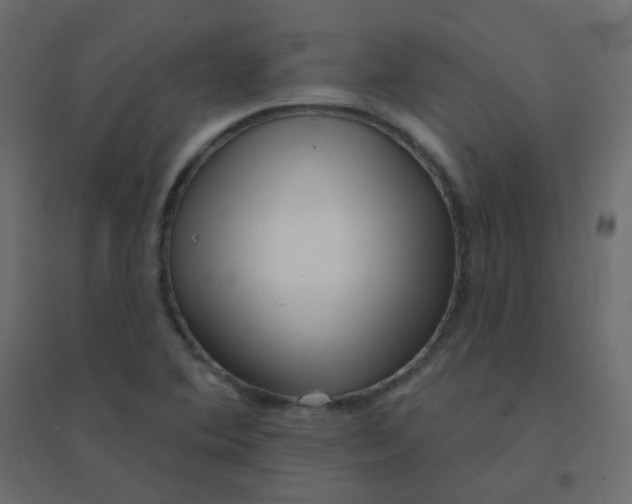 X0000094941364200712131550