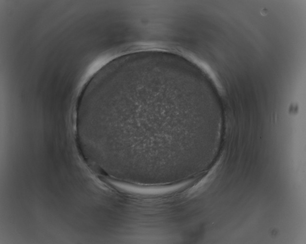 X0000094941365200712131550