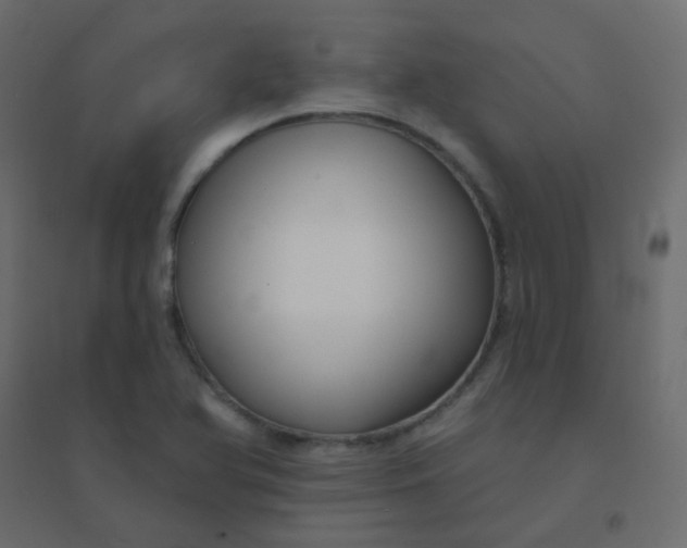 X0000094941366200712131550