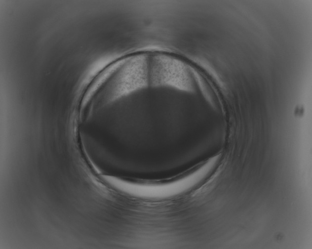 X0000094941367200712131550