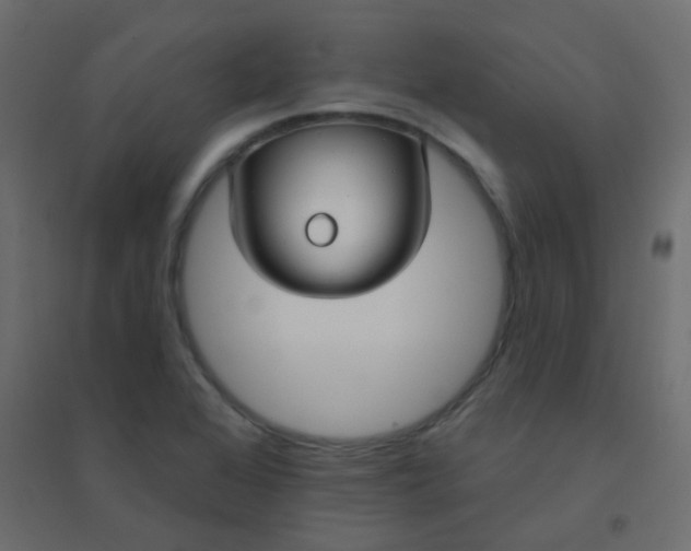 X0000094941368200712131550