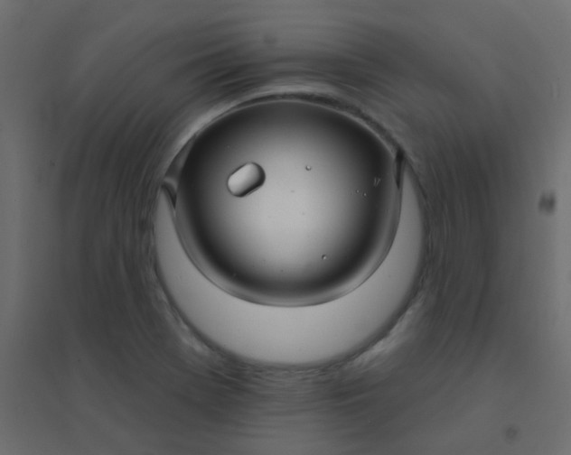 X0000094941369200712131550