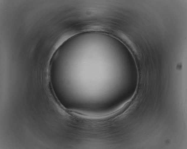 X0000094941370200712131550