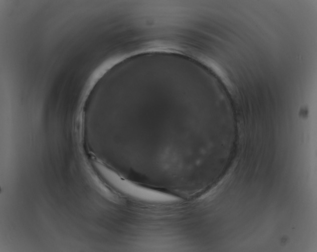 X0000094941371200712131550