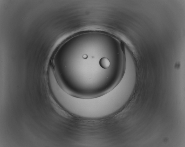 X0000094941372200712131550