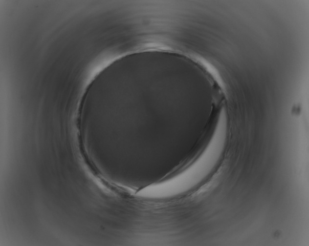 X0000094941373200712131550