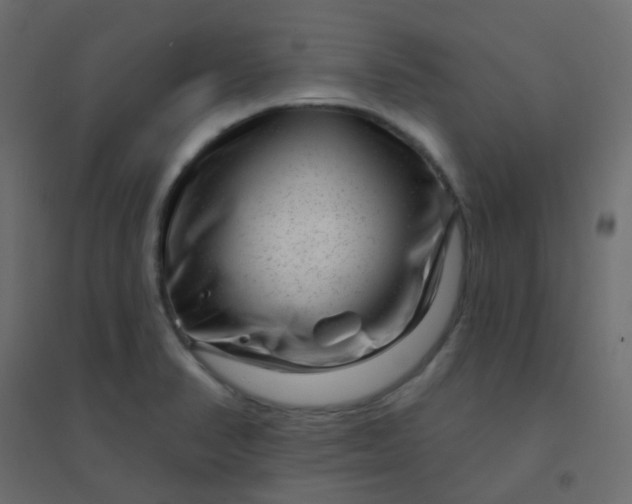 X0000094941374200712131550