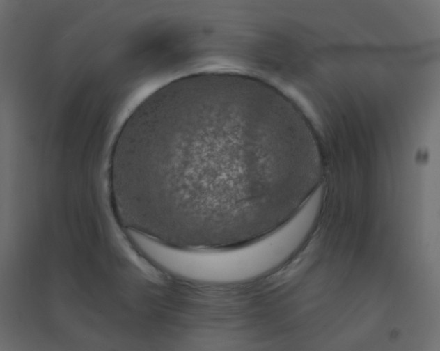 X0000094941375200712131550