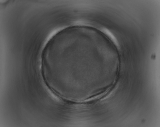 X0000094941376200712131550