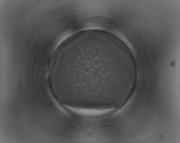 X0000094941377200712131550