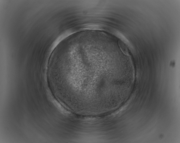 X0000094941378200712131550