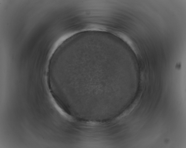 X0000094941379200712131550