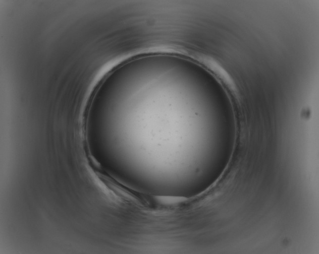 X0000094941380200712131550