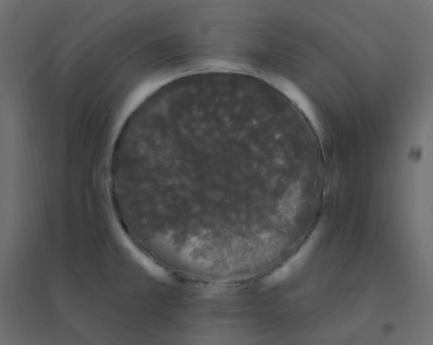 X0000094941381200712131550