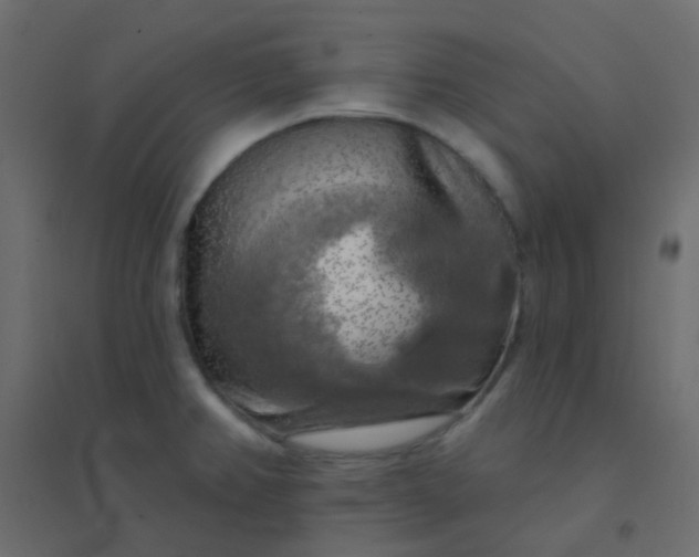 X0000094941382200712131550