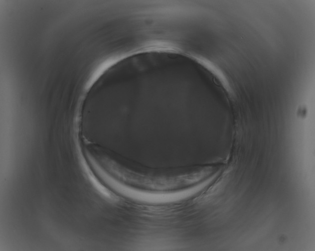 X0000094941383200712131550