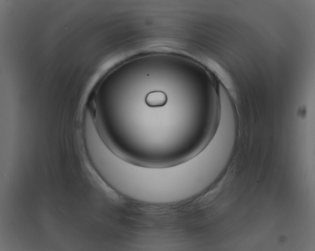 X0000094941384200712131550