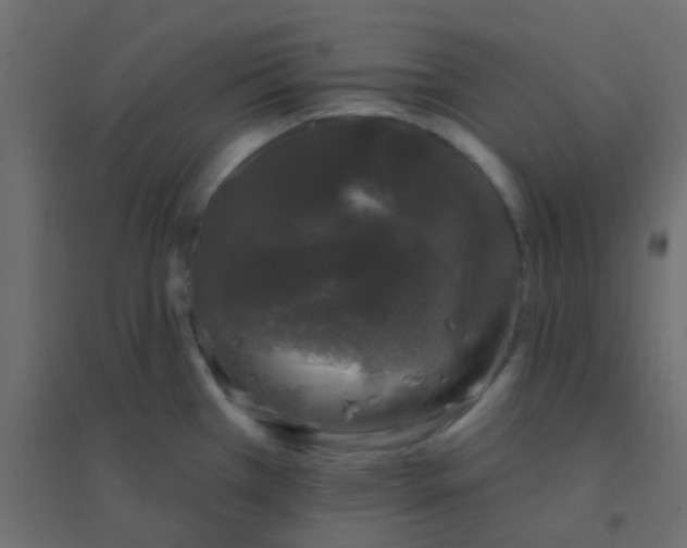 X0000094941385200712131550