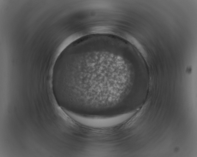 X0000094941386200712131550