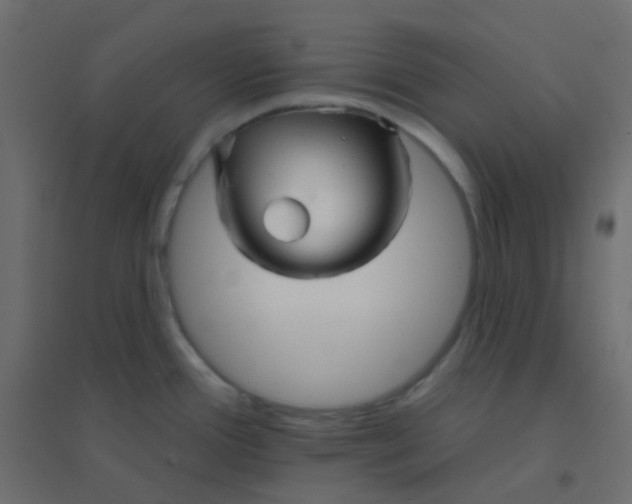 X0000094941388200712131550