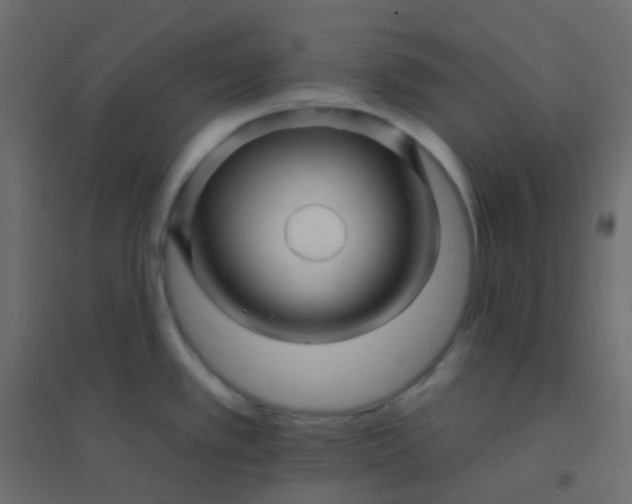 X0000094941389200712131550