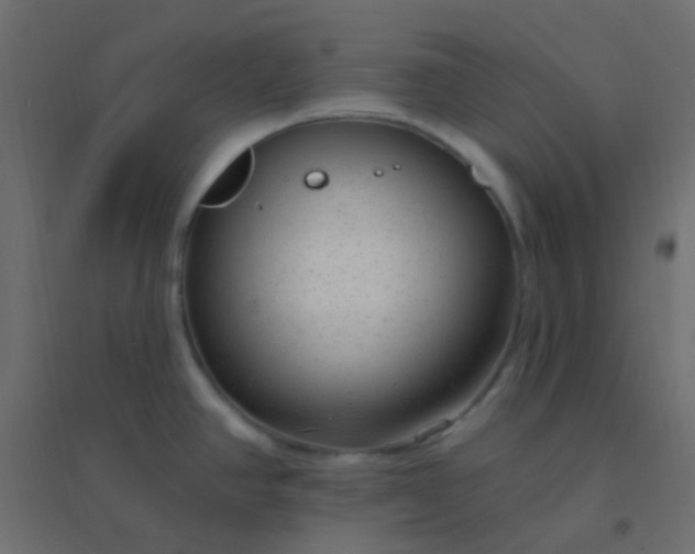 X0000094941390200712131550