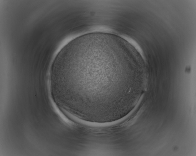 X0000094941391200712131550