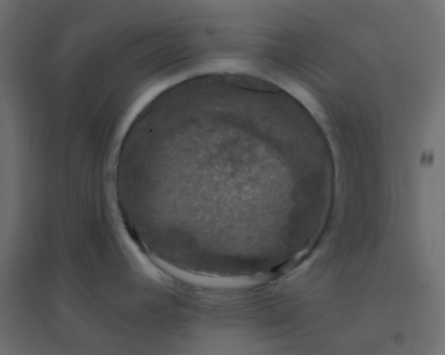 X0000094941392200712131550